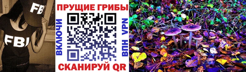 Галлюциногенные грибы GOLDEN TEACHER Севск