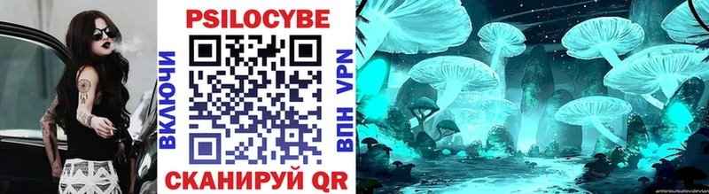 наркотики  Севск  Галлюциногенные грибы Psilocybe 